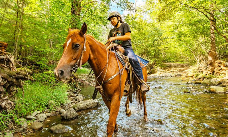 Explore Family-Friendly Activities