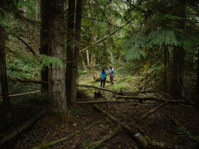 Wandering Into Protected Zones