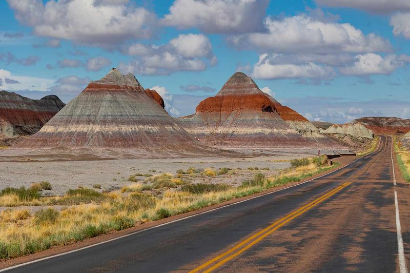 Petrified Forest National Park
