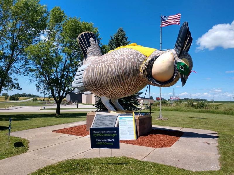 Rothsay's Prairie Chicken Tribute