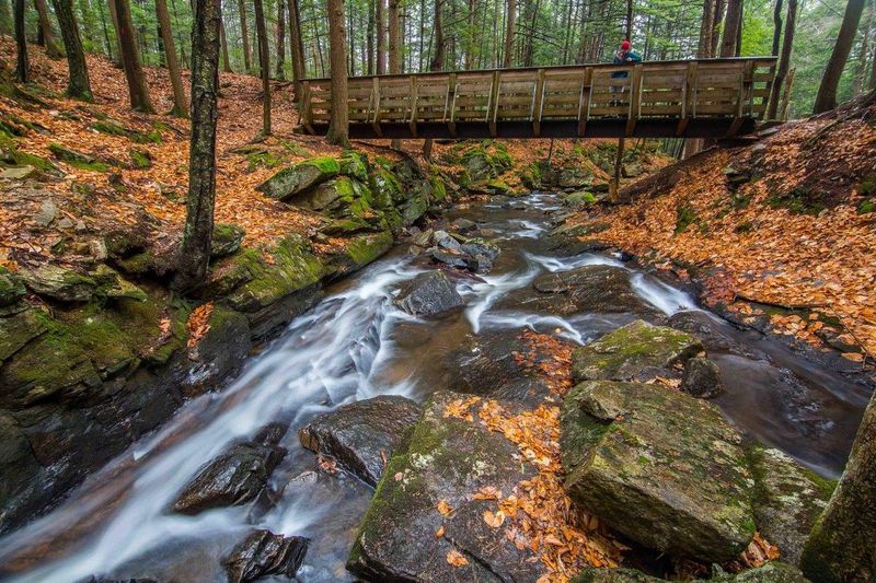 Chesterfield Gorge Natural Area