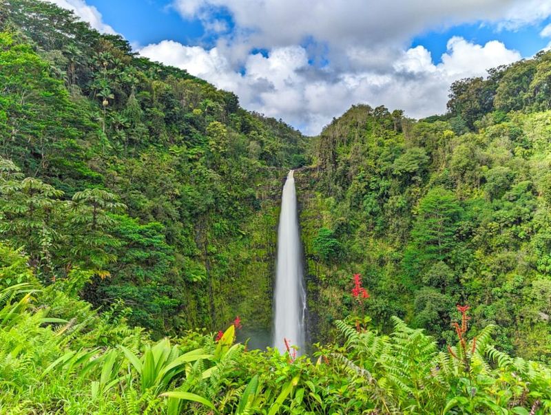 Akaka Falls, Hawai'i Island