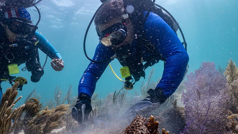 Touching Coral Reefs While Snorkeling