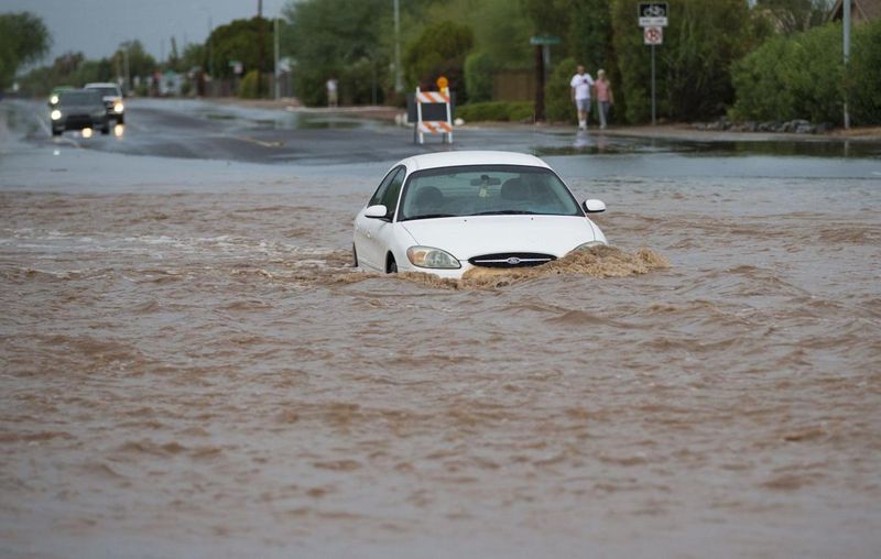 The Stupid Motorist Law