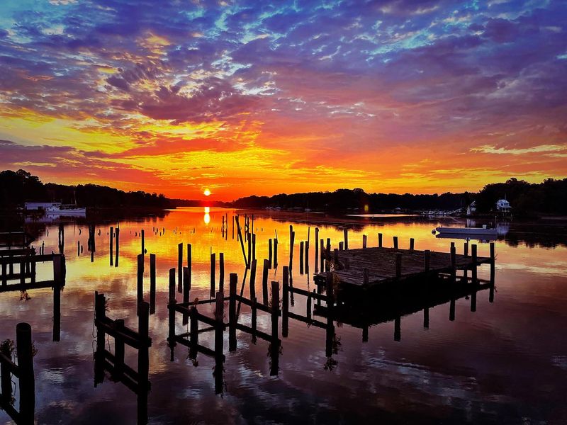 Why Stillness Becomes Beauty