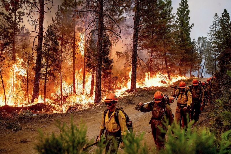 Environmental Risks and Seasonal Surprises