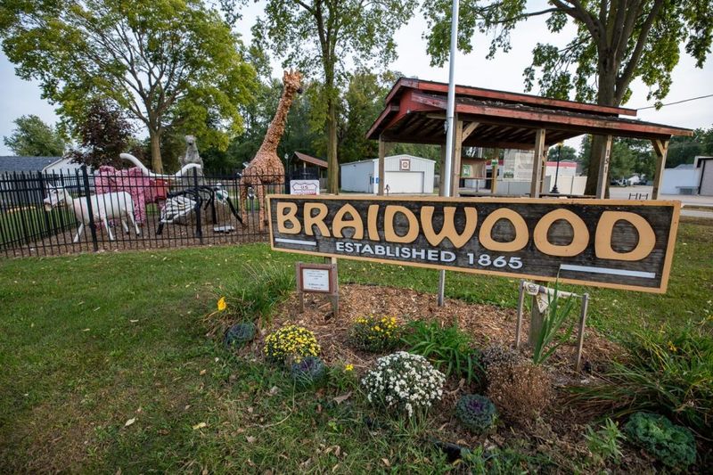 Braidwood