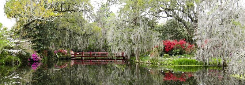 Magnolia Plantation and Gardens