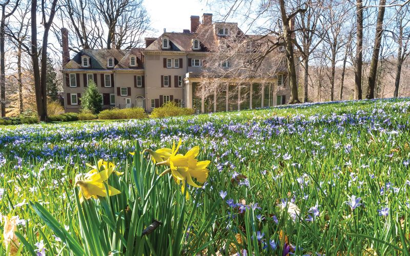 Winterthur Museum & Gardens