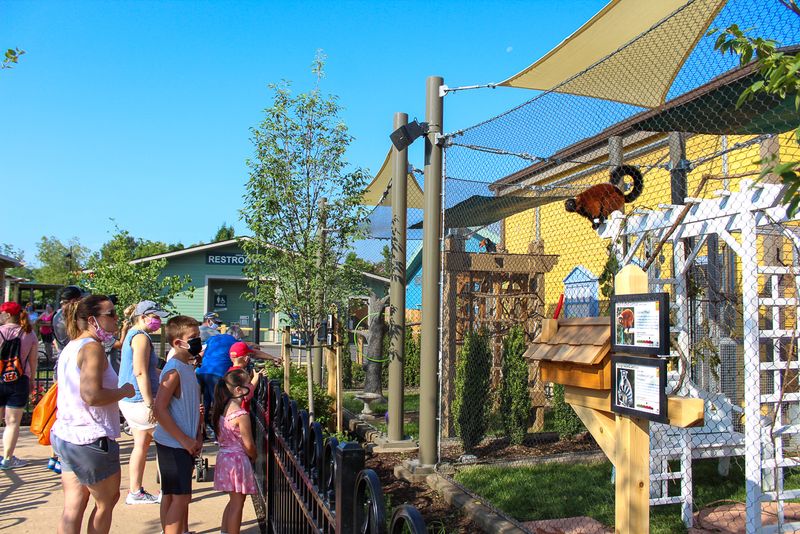 Family-Friendly Fun for All Ages