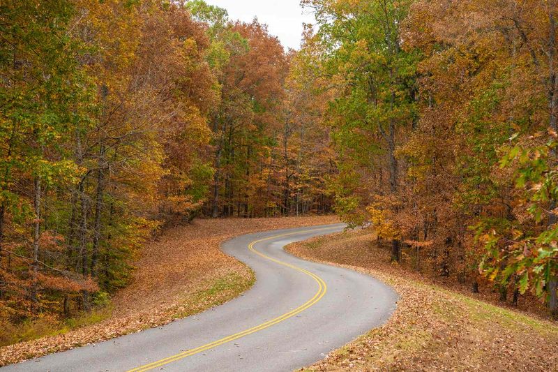 Scenic Drives Through Beautiful Landscapes