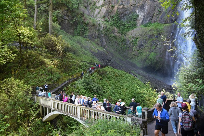 Multnomah Falls Environmental Degradation