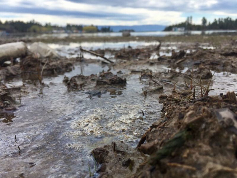 Trails Trampled and Landscapes Loved to Death