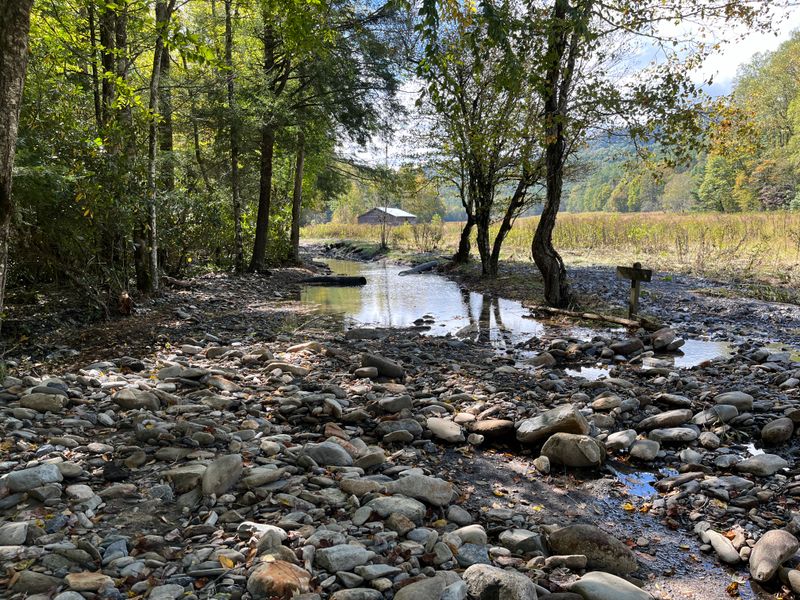 Environmental Toll on Nature
