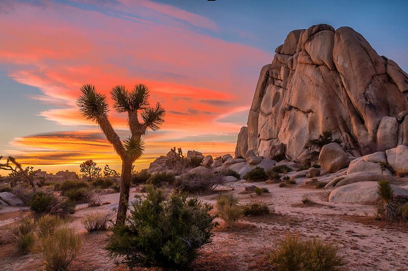 Joshua Tree National Park's Surreal Landscapes