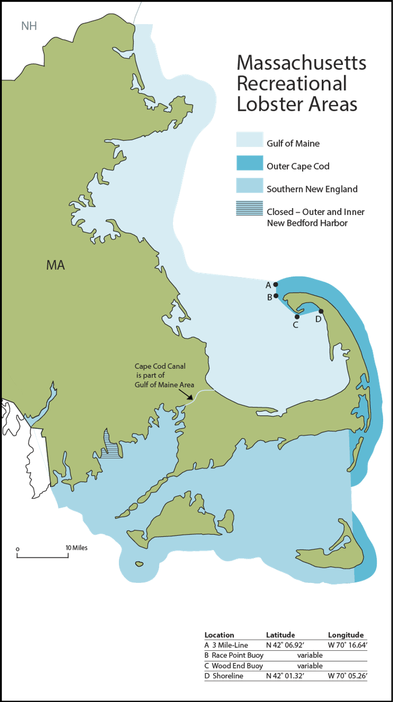 Penalties Tourists Can Face