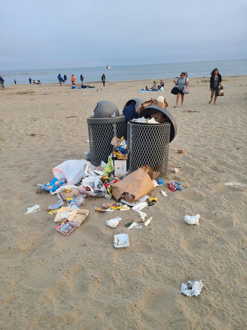 Pollution and Overcrowding Adding to the Issue