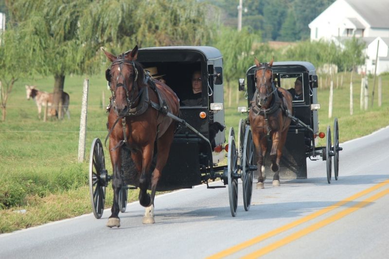 Why Tourists Are Drawn to Amish Kansas