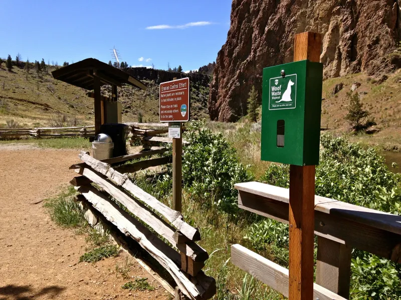 Understanding Oregon's Riparian Zone Laws