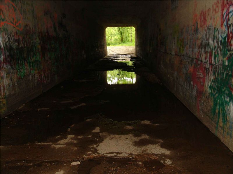 Travelers Who Dared to Enter