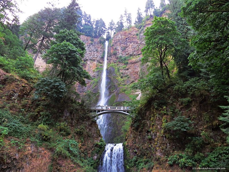 Visitor Experiences at the Scenic Site