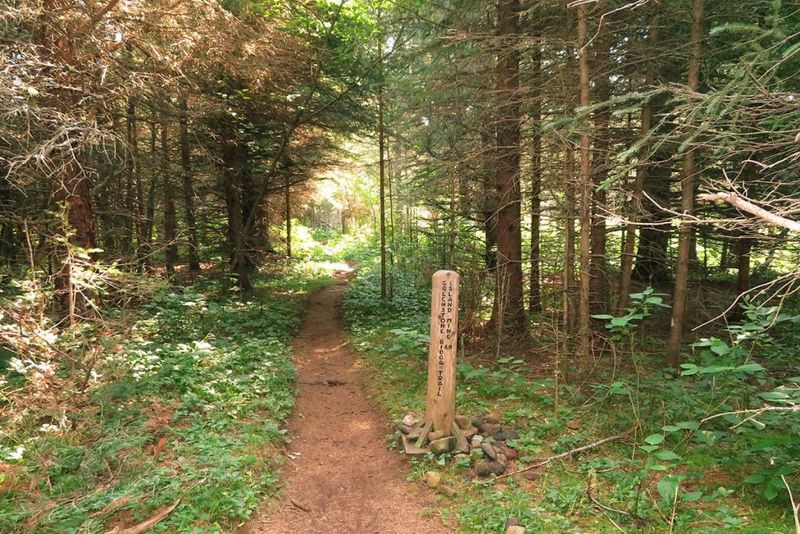 Why Respecting the Trail Keeps the Forest Open for Everyone