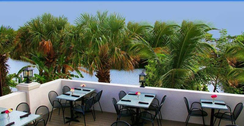 Darbster (West Palm Beach)