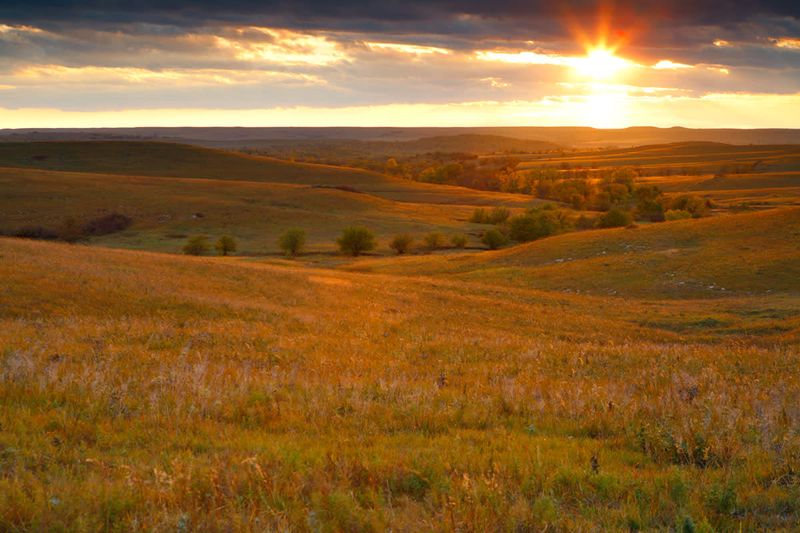 “I meant to pass through the prairie; I stayed for days”