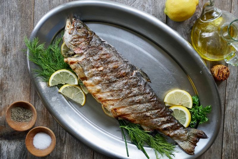 Trout From Idaho Rivers: Freshwater Classic