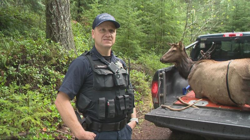 Strict Legal Enforcement