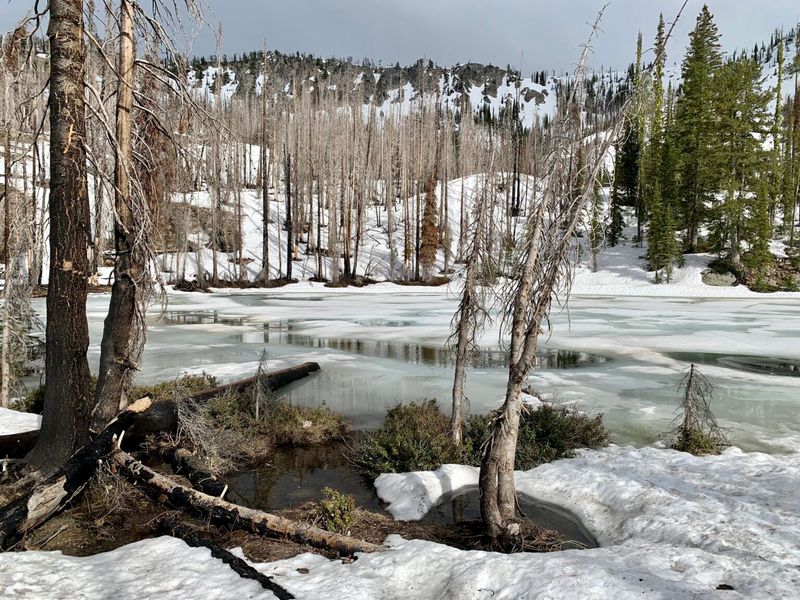 Underestimating the Weather