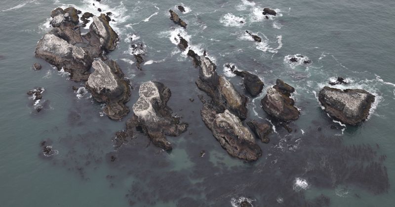 Using Drones Near Cliffs, Birds, and Active Lights