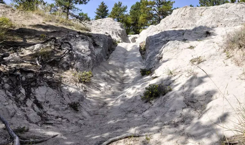 The Shortcut Through Sensitive Habitat