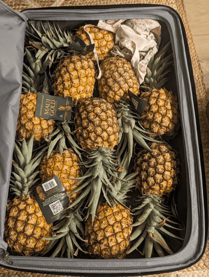 Taking Pineapples or Plants to the Mainland