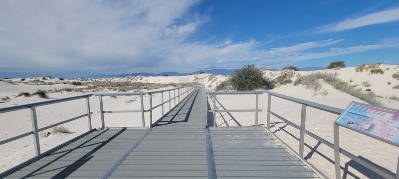 Walking on Fragile Dune Ecosystems