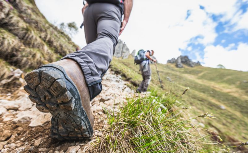Invasive Species Spread Along Trail Corridors