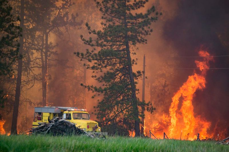 Causing an Accidental Wildfire