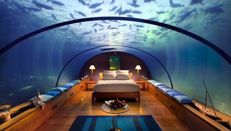 Living Among the Fish: Your Marine Neighbors