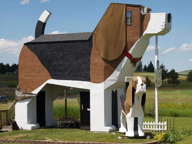 What Travelers Are Saying About the Giant Beagle Hotel