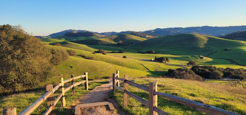 Farm Trails and Harvest Experiences That Stick With You