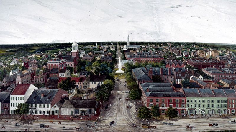 The College and University Expansion Effect