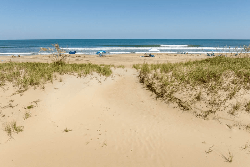 Side trip: Sandbridge’s wild edge