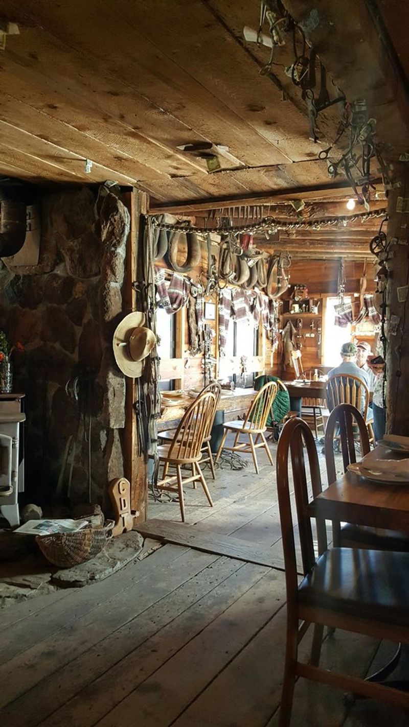 Cowboy Dinner Tree (Silver Lake)