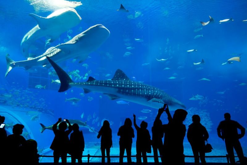 Virginia Beach Boardwalk – The Underwater World