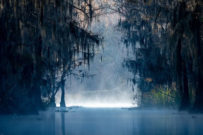 The Bayou Mystique