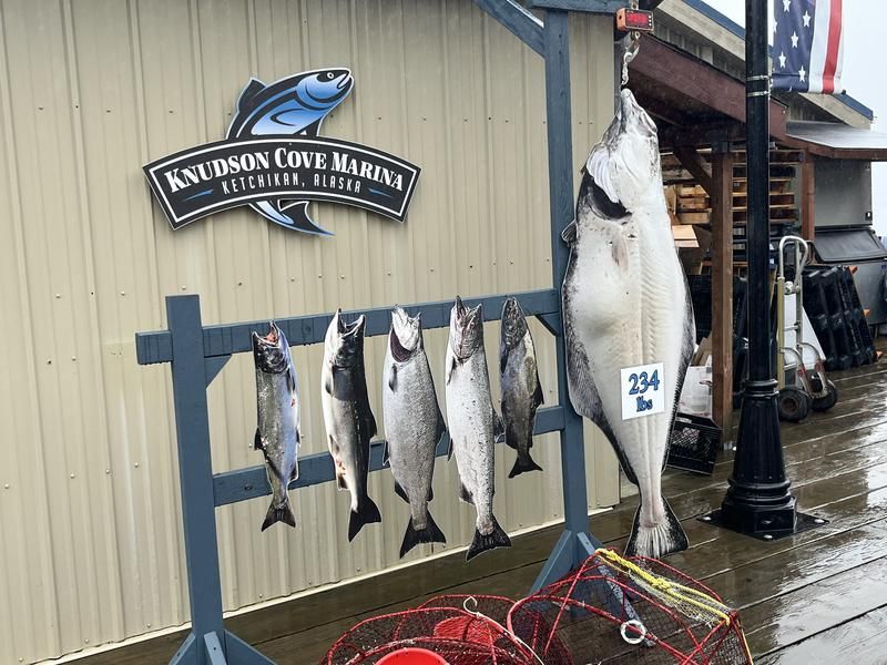 Knudson Cove Marina Fish Market – Ketchikan’s Quiet Star