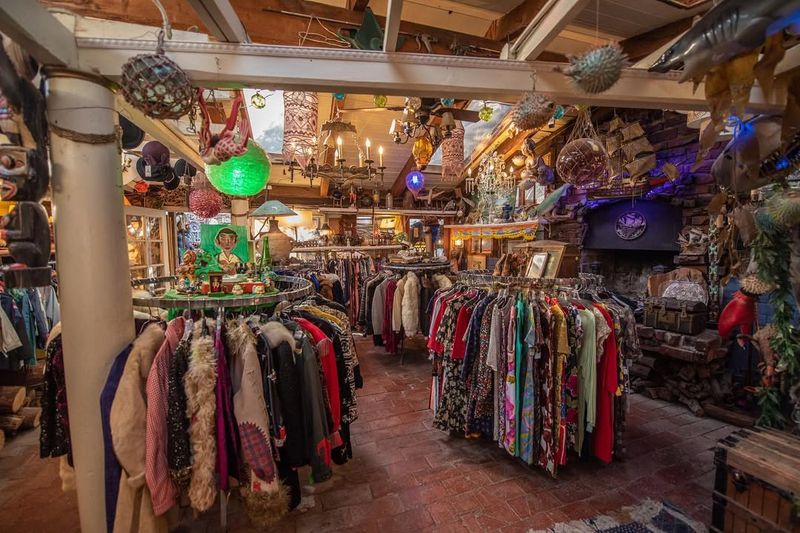 Hidden Treasures (Topanga)