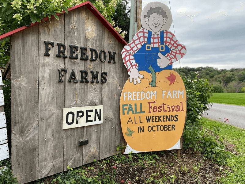 Freedom Farms Fall Festival (Valencia)