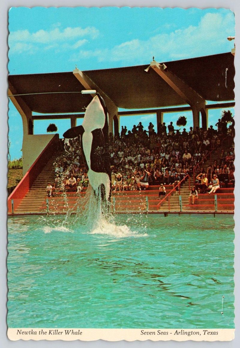 Seven Seas Marine Life Park