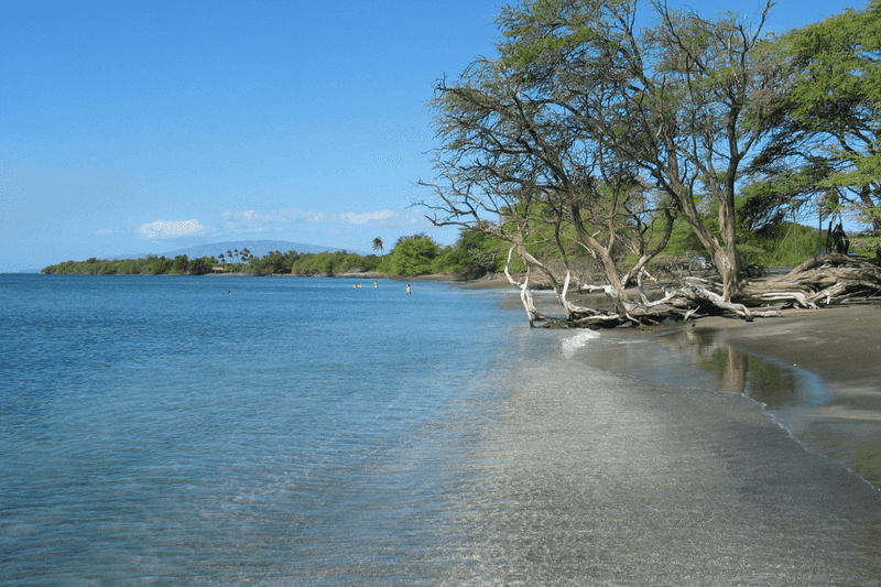 Olowalu Beach, Maui